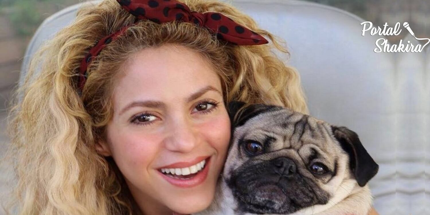 Excesso de Fofura: Relembre 15 fotos de Shakira com Animais