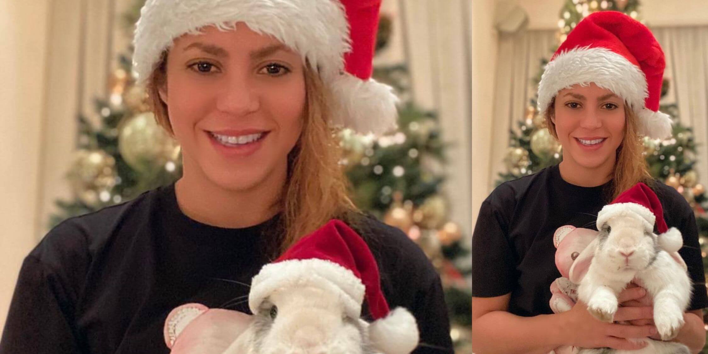 Shakira deseja Feliz Natal com seus animais de estimação